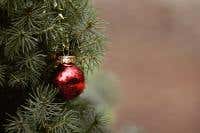 Luxe alternatieven voor het kerstpakket