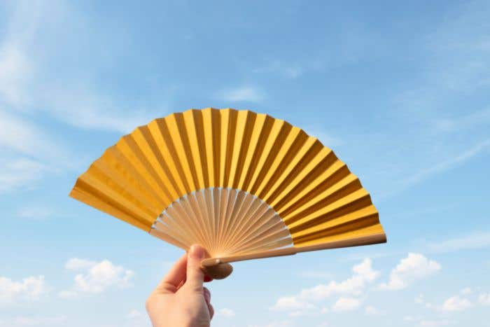 Bamboe Handwaaier Thijs