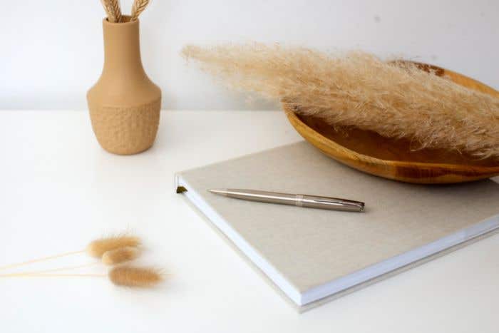 Parker Sonnet Stainless Steel Balpen