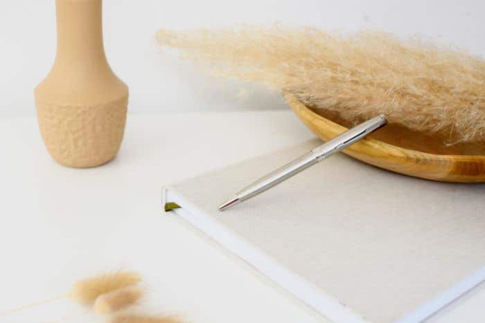 Parker Sonnet Stainless Steel Balpen