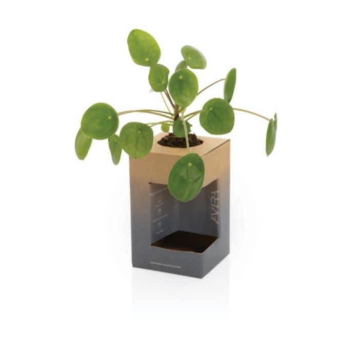 Dubbelwandige drinkbeker Avira Alya Re-Steel 300 ml