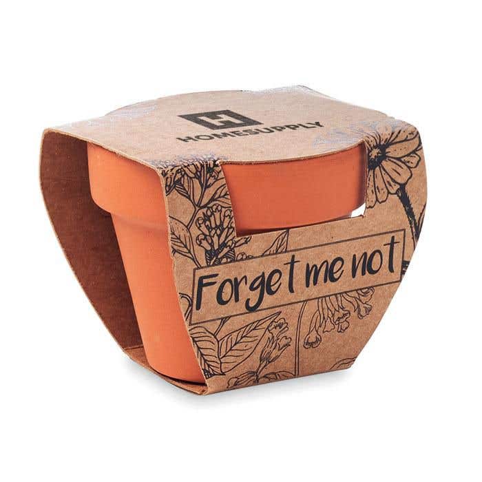 Kweekset Forget Me Not