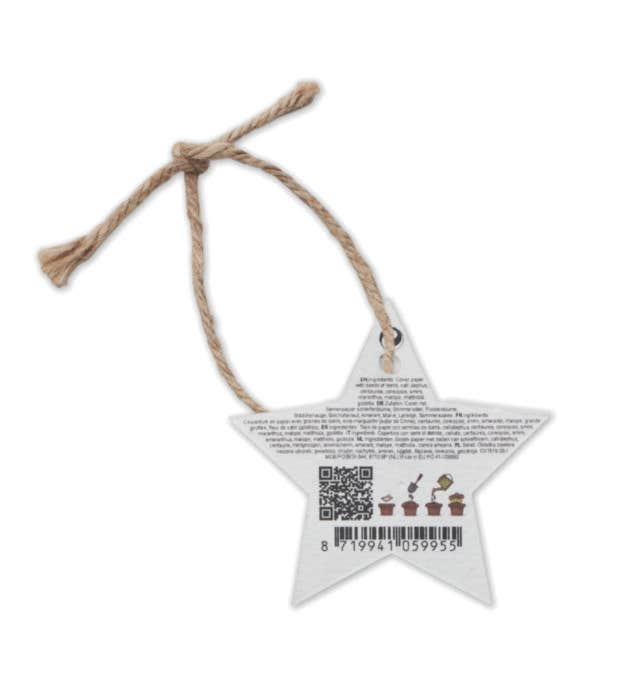 Zaadpapier Kerstornament Starseed
