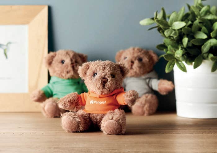 Teddybeer Johnny