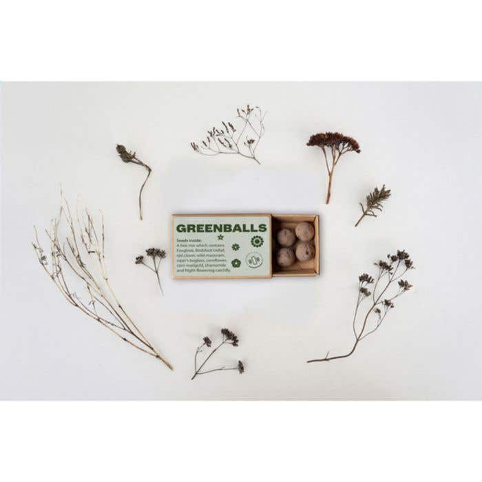 Set met Green Balls Mini-Eco-bloemzaden