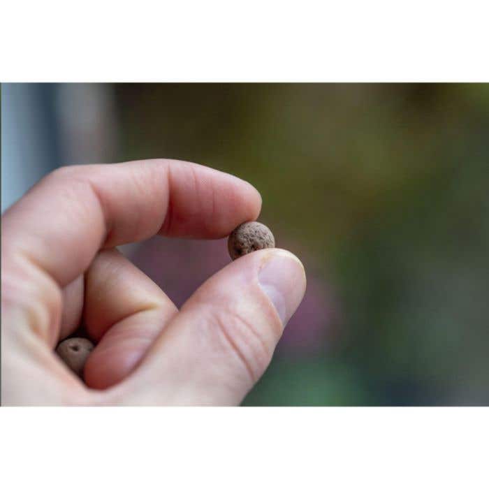 Set met Green Balls Mini-Eco-bloemzaden