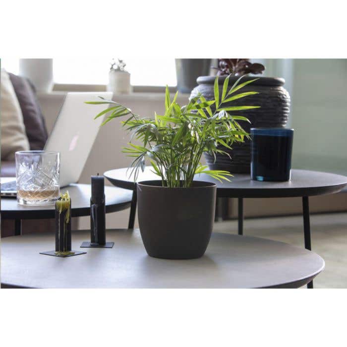 Bloempot | Koffiedik | Composteerbaar