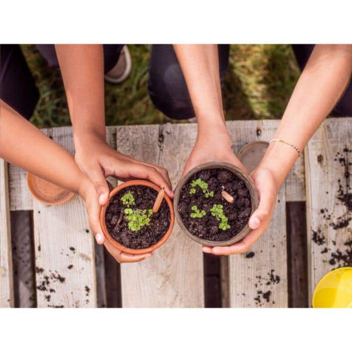 Potlood | Plantbaar | Met zaadjes