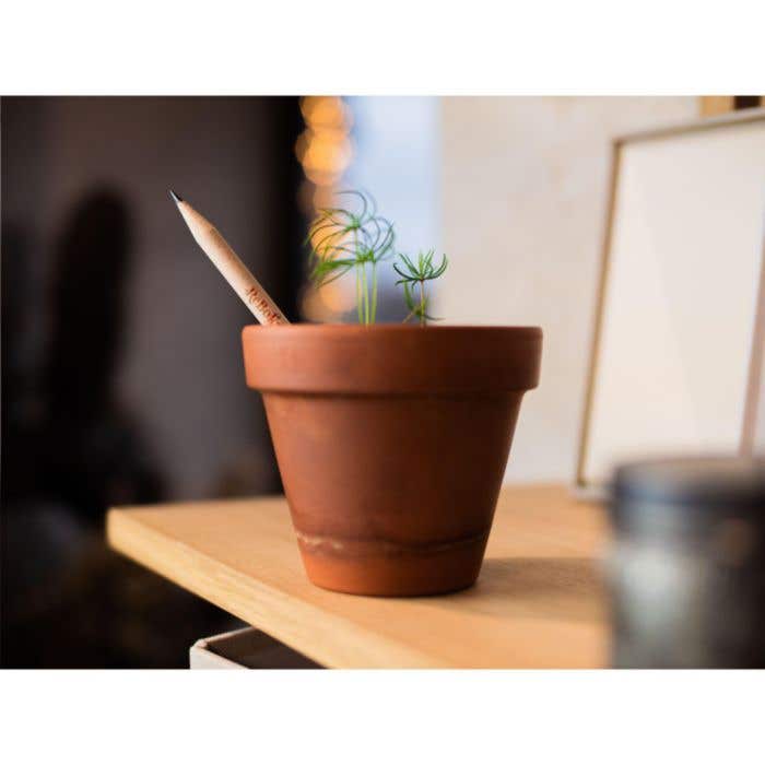 Potlood | Plantbaar | Met zaadjes