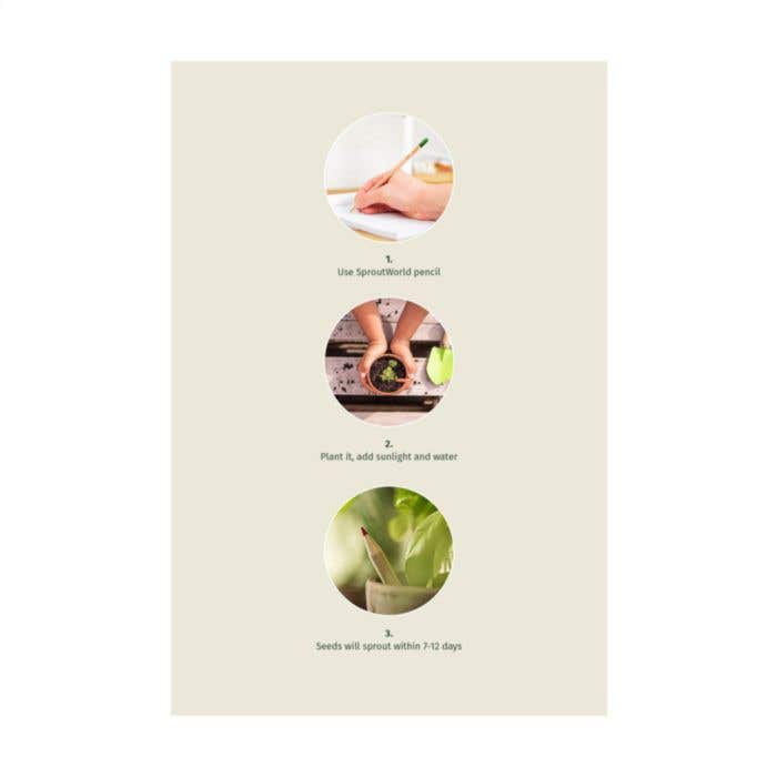 Sproutworld potlood Sharpened | Plantbaar | Met zaadjes