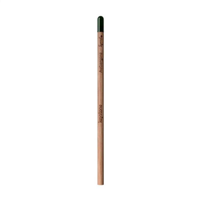 Potlood Sproutworld Unsharpened | Plantbaar | Met zaadjes