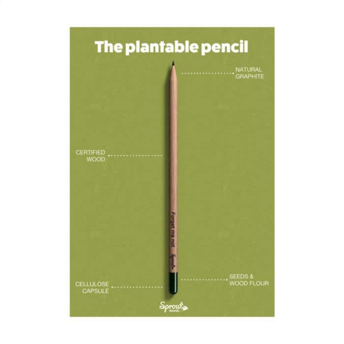 Potlood Sproutworld Unsharpened | Plantbaar | Met zaadjes
