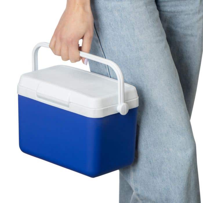 Koelbox Sunkissed | 4 l