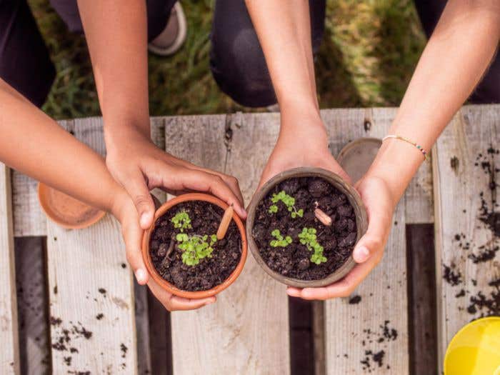 Sproutworld potlood Silas | Hout | Geslepen punt | Met zaadcapsule