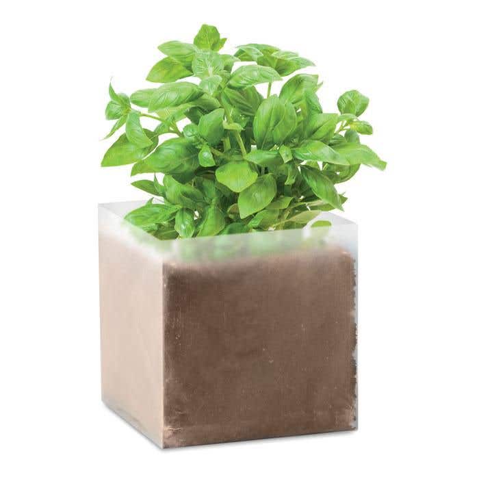 Compost met basilicumzaadjes