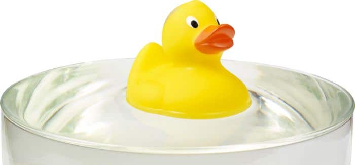 Badeend Ducky