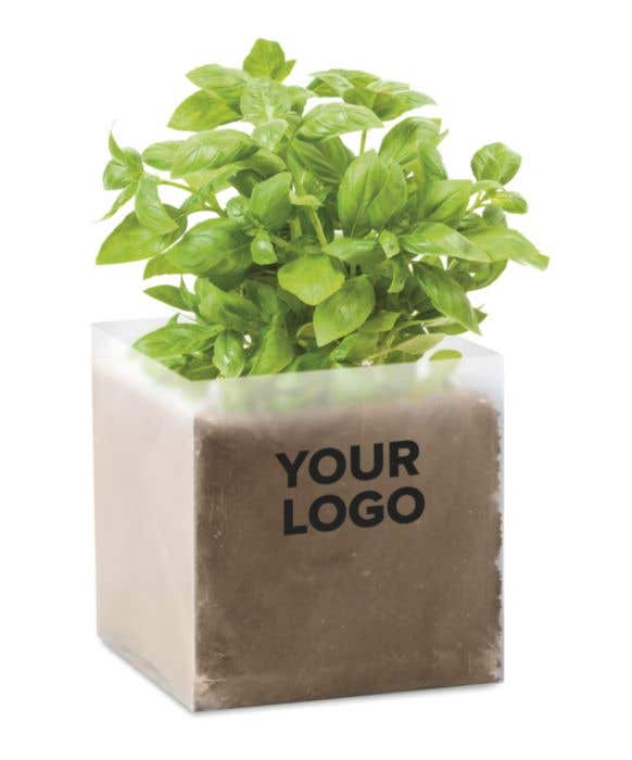 Compost met basilicumzaadjes