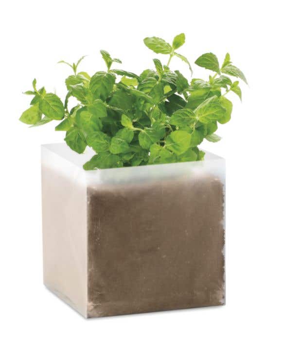 Compost met muntzaadjes