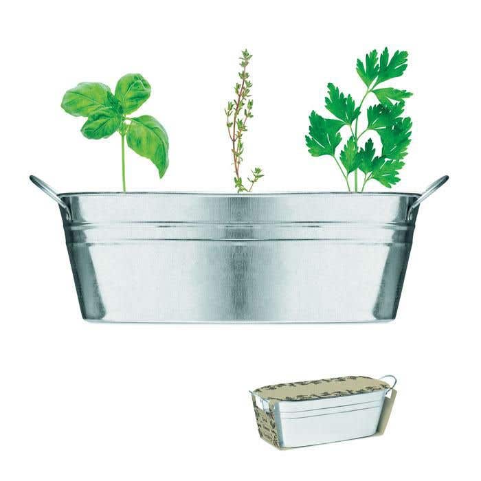 Zinken kuipje met 3 zaadzakjes