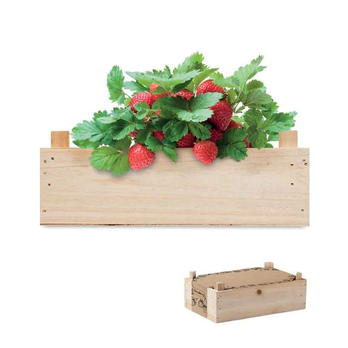Aardbeienpakket in houten kratje