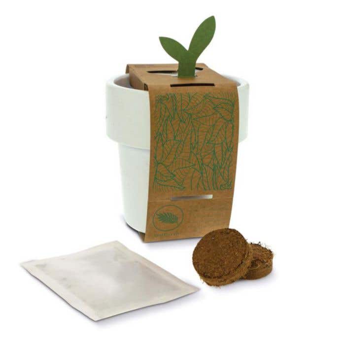Drinkbeker met kerstomaten zaadjes