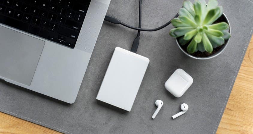 pc, ordinateur, plante, chargeur